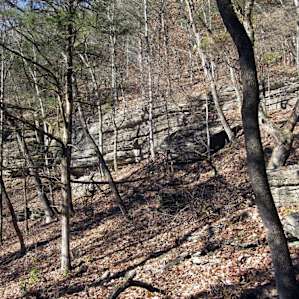 Picturesque hiking trails