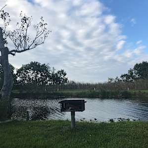 Everglades Hide Away