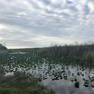 Everglades Hide Away