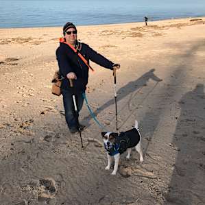 Le Château de Chien Saves Dogs