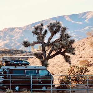 Camping with joshua trees was pretty cool