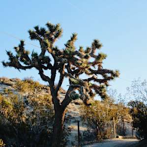 A morning with the desert landscape all to myself