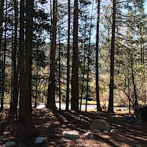 Robinson Creek North Campground