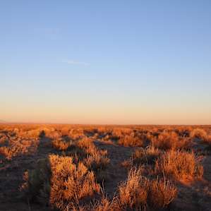 Winter desert morning all to ourselves