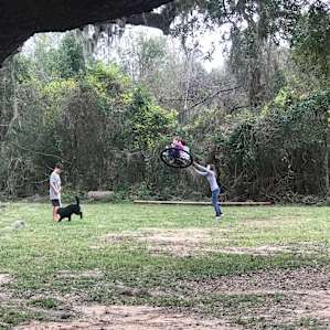 Texas Treehouse Swings Camp