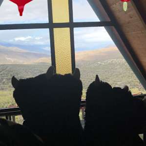 Got to love coffee with a view! Bear slippers :)