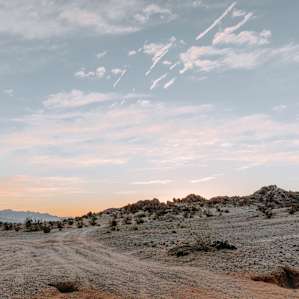 Moonlight Miracle Mountain