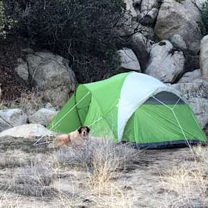Campsite 1