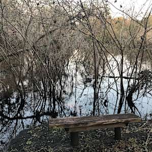 Horse Creek.