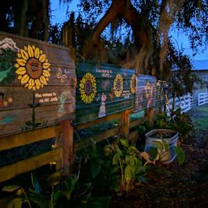 The painting wall for guest contributions