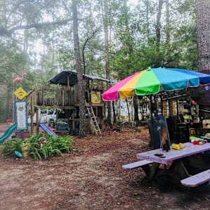 Grateful Hammock
