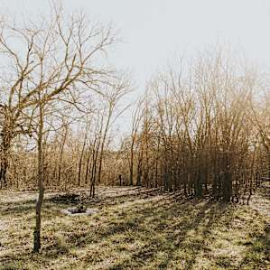 The campsite is tucked against a wooded area. Even in the winter it's beautiful.