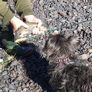 Call Mike, the fly fishing guy for guided trip!