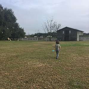 The Barn