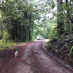 REDWOODS+WINE COUNTRY+ESCAPE