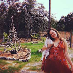Citrus trees behind the casita 🍋