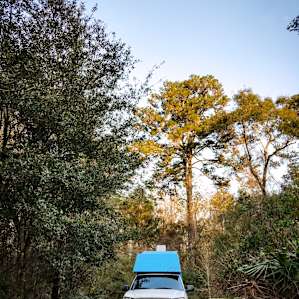 Forest Meditation Sanctuary