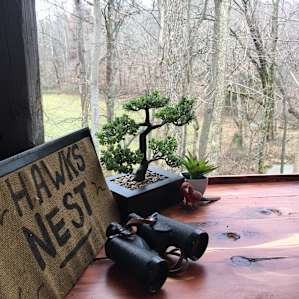 Complete with binoculars