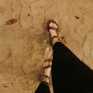 Walk through the thick, sandy creek and explore the front side of the property.
