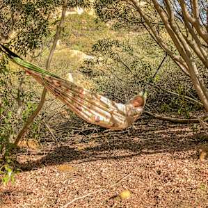 A few peaceful places to hang your hammock