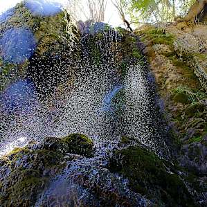 Bluff Springs Dispersed Campsites