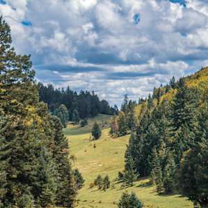 Upper Karr Recreation Area
