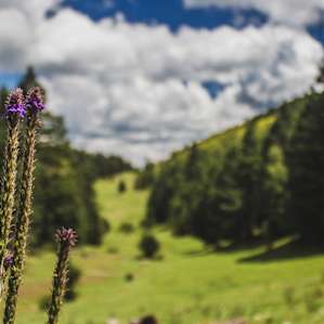 Upper Karr Recreation Area