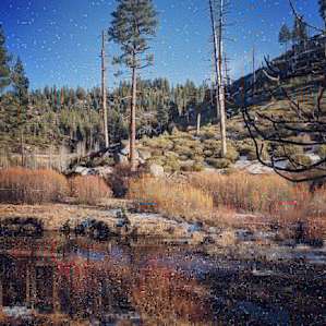 Pan 4 Gold! Golden Grizzly Camp