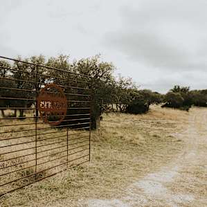 Cute Off-Grid CABIN on 84 ACRES