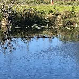 Everglades Hide Away