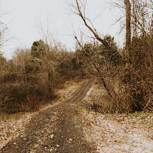 The road leading towards the campsite.