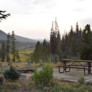 Site 117