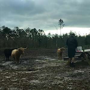 Friendly faces coming to see what’s cooking for breakfast