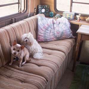 Cozy & comfortable Beehive RV.