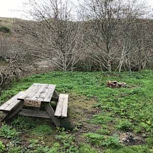 All the sites comes with fire pits and
