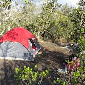 Hermitage-Camping with the Stars