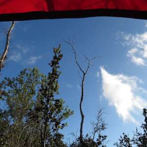Hermitage-Camping with the Stars