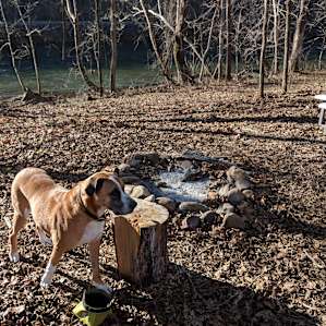 River in the background. Pup loved it.