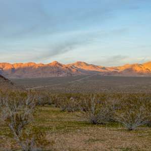 Mojave Moonlight Campground
