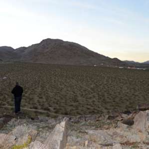 Mojave Moonlight Campground