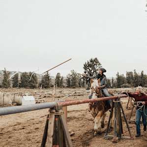 We had SO much fun with James (just a mile or so down the road) learning archery, spear throwing and then riding his BEAUTIFUL horses. This is an extra cost but well worth it and super reasonable. Gigi will give you his info if you ask! ;)