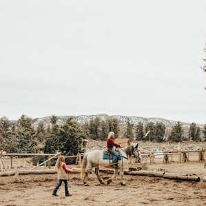 We had SO much fun with James (just a mile or so down the road) learning archery, spear throwing and then riding his BEAUTIFUL horses. This is an extra cost but well worth it and super reasonable. Gigi will give you his info if you ask! ;)