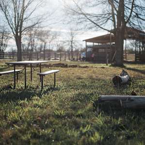 Campsites