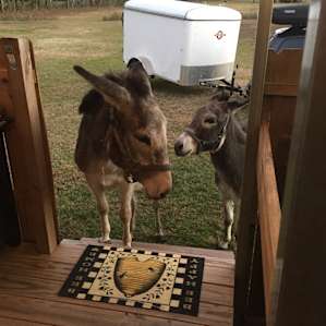 C’mon in!