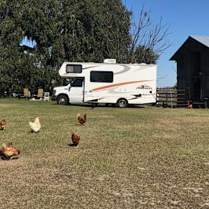 My RV, Goldie