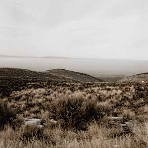 desert