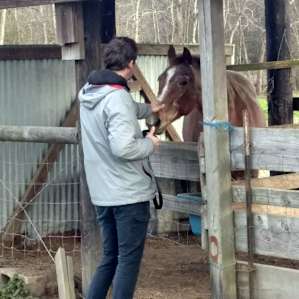 Arbroth Hobby Farm