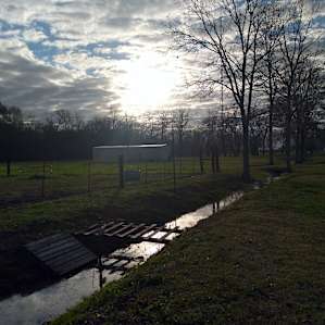 Arbroth Hobby Farm