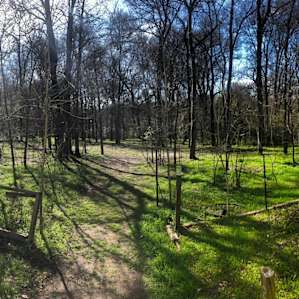 view of the back camping area