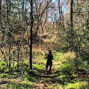 taking a leisurely sunday stroll down to the creek - access from path at the back of the camping area